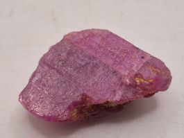 Roh Rubin – 16.2ct – Karnataka, Indien
