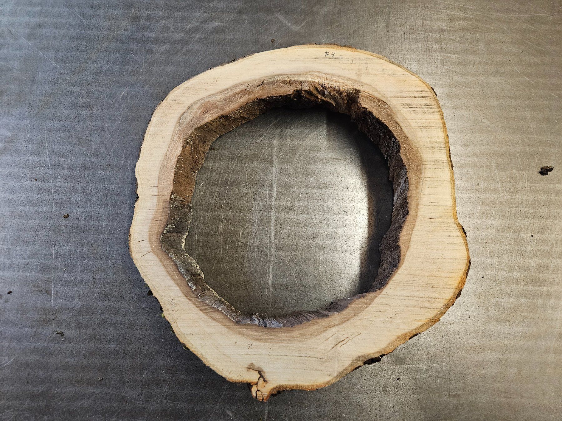 Articoli in legno: Baumscheibe Apfelbaum – Nuovo (secondo la descrizione) da Schangnau venduto da egli6.2