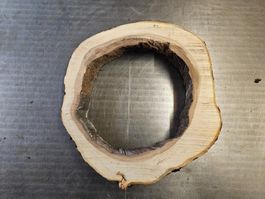 Baumscheibe Apfelbaum