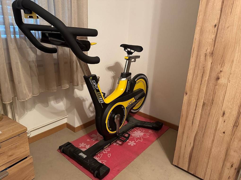 Horizon Hometrainer: Horizon GR7 – Usato da Ebmatingen venduto da x_v_9kjf 1