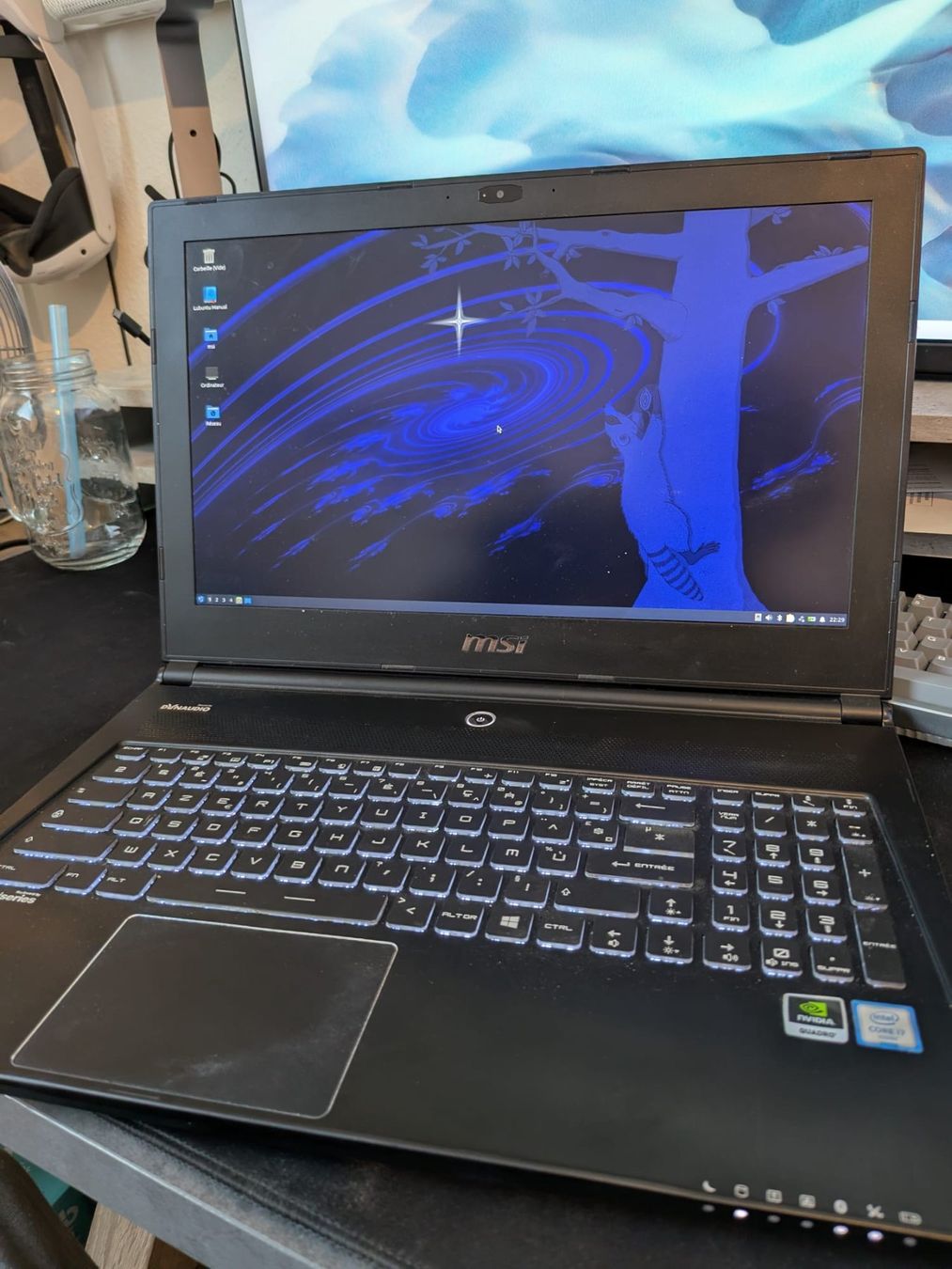 MSI Notebook: MSI WS60 6QI – Usato da Le Lignon venduto da GuillGN 2