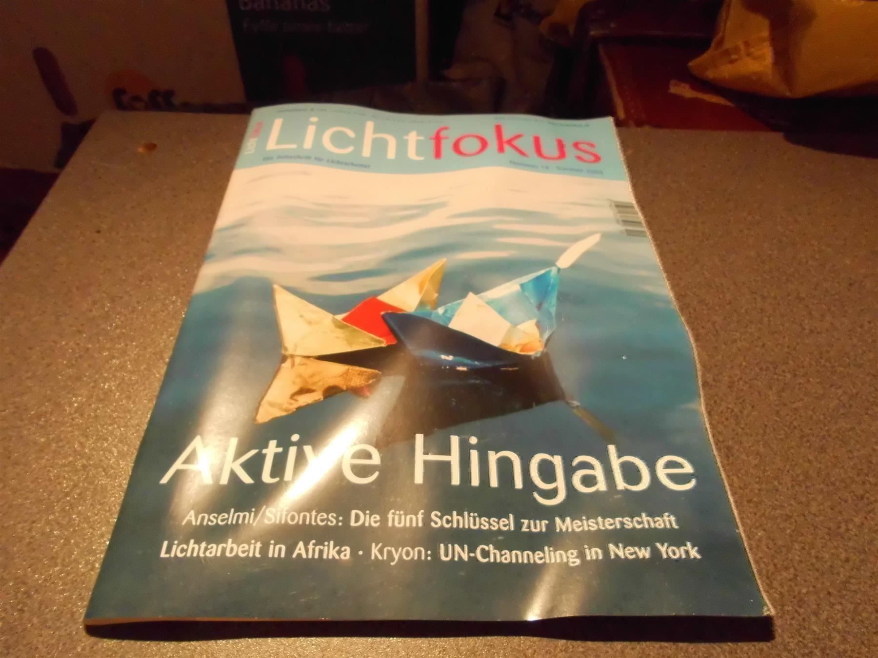 Riviste & Magazine: Lichtfokus Nummer 10 / Sommer 2005 – Usato da Zürich venduto da Motzkuh