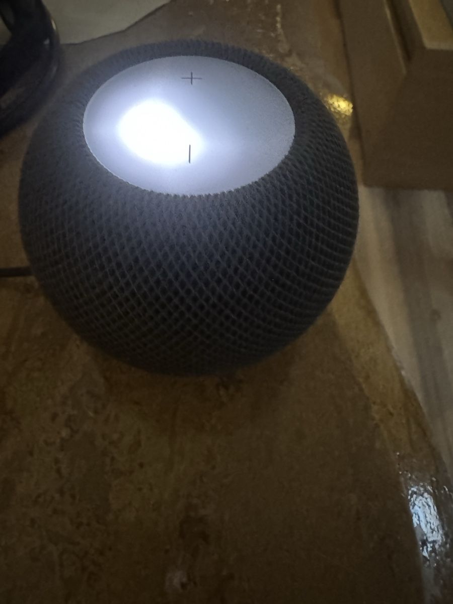 Apple Casse acustiche: HomePod mini Apple gris sidéral -  – Usato da Biel/Bienne venduto da Baol1 2