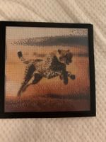 Bild vom wunderschönen Gepard Diamant Painting