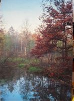 Natur Postkarte: Stimmungsvolle Herbstlandschaft, Top!
