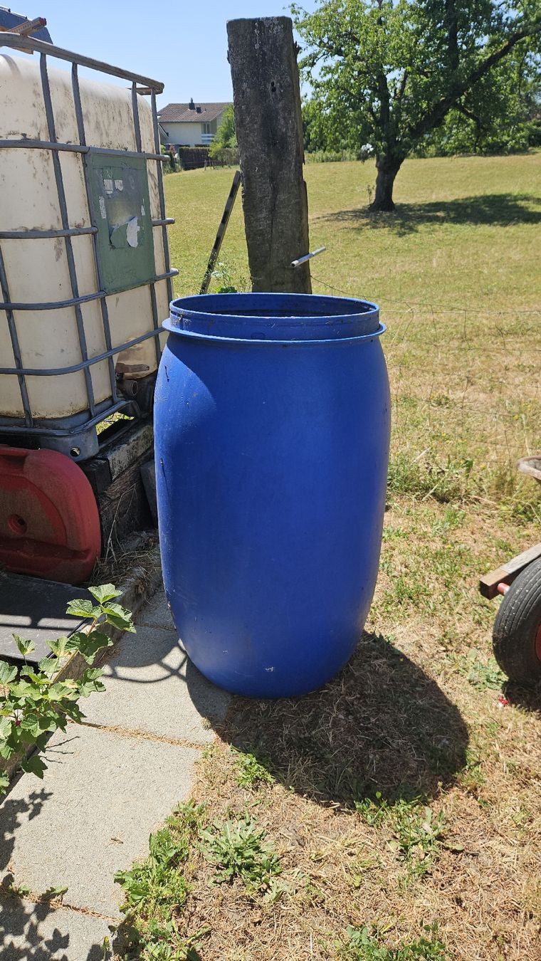 Annaffiatura & Irrigazione: Regenwasserfass – Usato da Wiedlisbach venduto da Papillon83