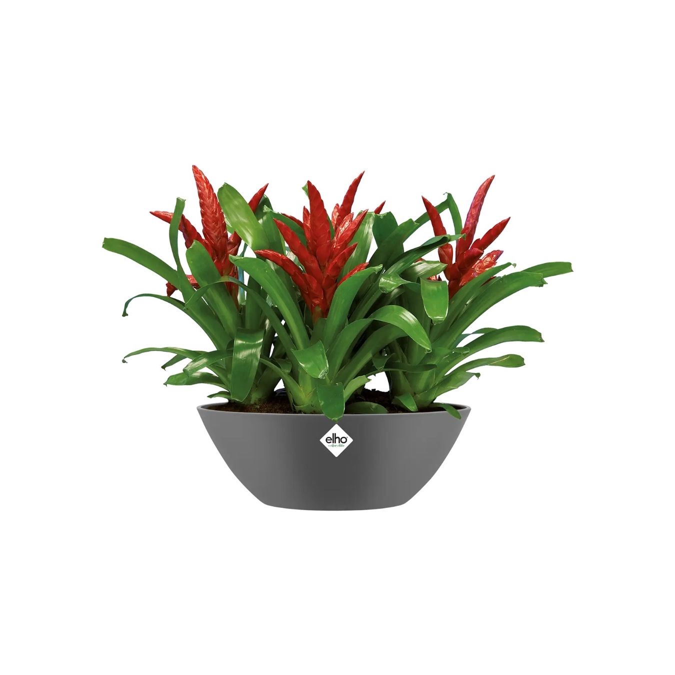 Vasi per fiori: Flower Pots - Elho Different Sizes and Colors – Nuovo (secondo la descrizione) da Elsau venduto da MANWITHVAN