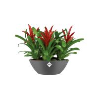 Flower Pots - Elho Different Sizes and Colors