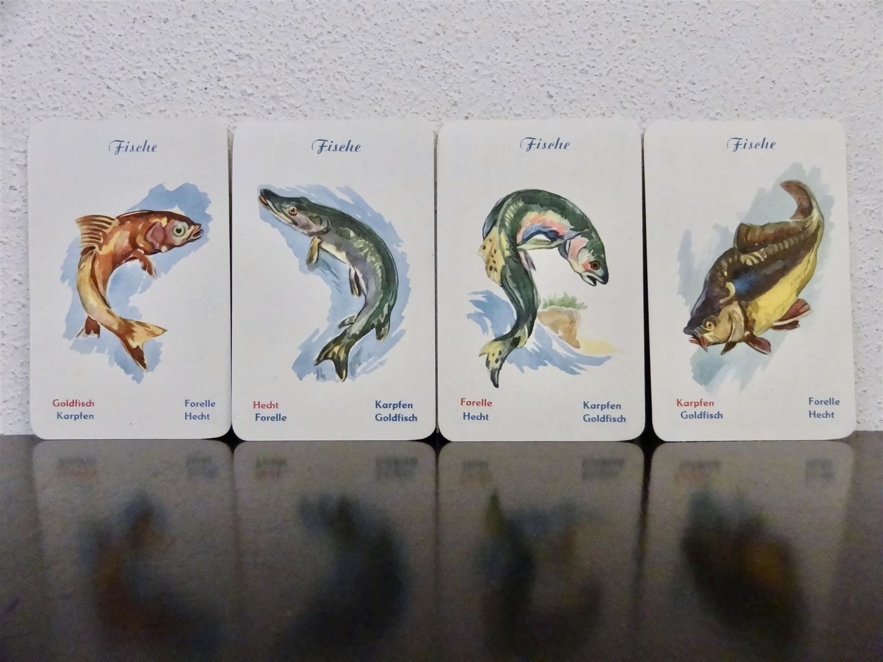Giochi: schönes altes TIER Quartett – Usato da Kerzers venduto da wisaundso 6