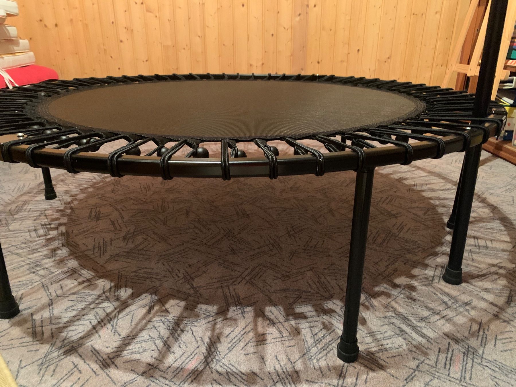 Trampoline: Trampolin indoor – Gebraucht aus Adligenswil von flybutter 2