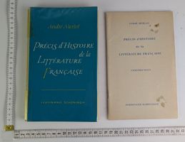 André Merlot: Précis d'Histoire, Französische Literatur.
