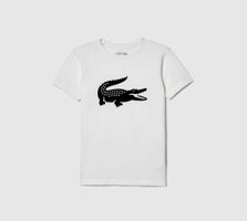 Lacoste Tshirt: Gr. M