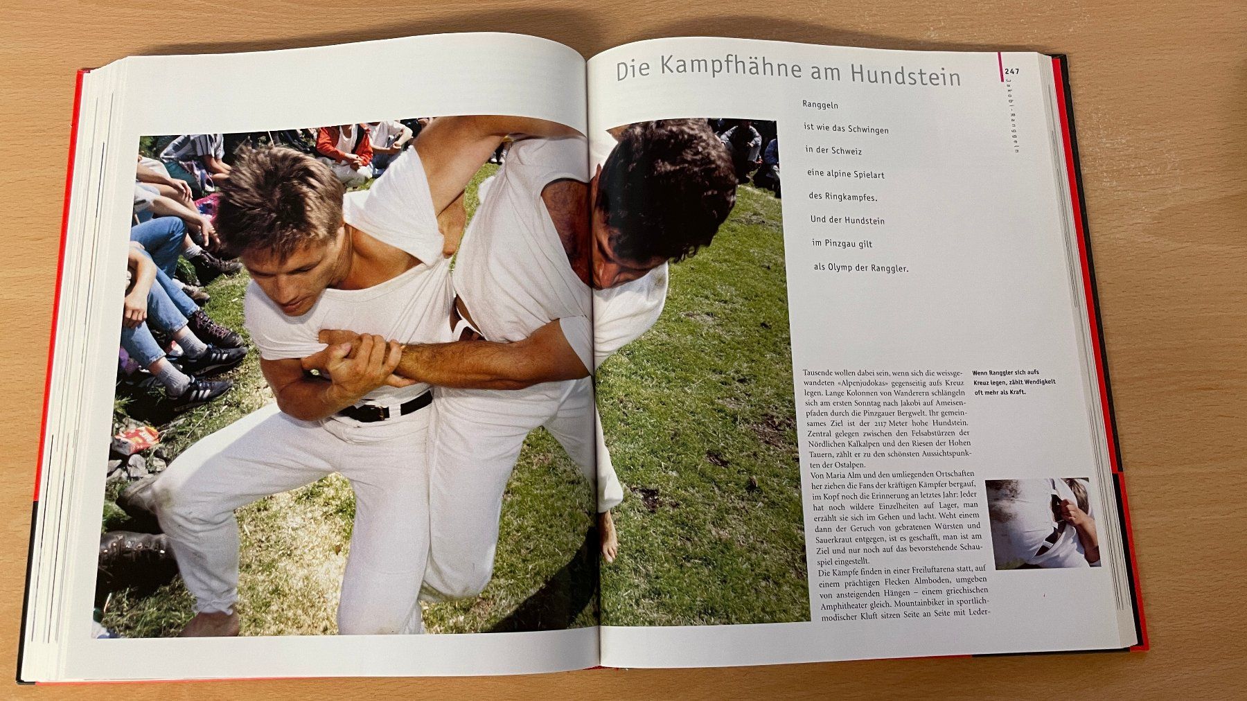 Libri: Feste im Alpenraum – Usato da Glattfelden venduto da cybermaxx 8