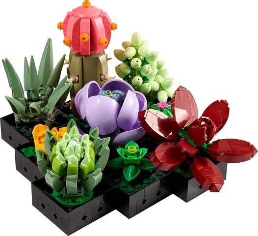 Lego Baukästen: Succulents - LEGO Botanicals - 10309-1 – Neu (gemäss Beschreibung) aus Effretikon von BrickEscape 1