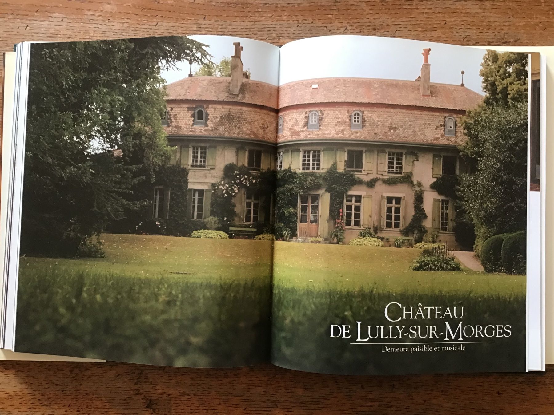 Libri: Les châteaux viticoles du Pays de Vaud – Usato da Fully venduto da Ruby97 8