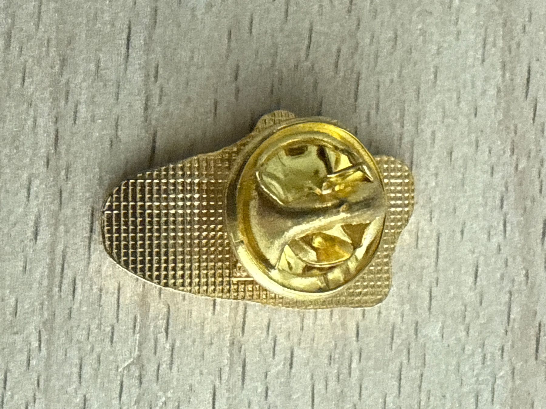 Placchette & Badge: Pin Turnschuh – Usato da Glattbrugg venduto da Schweigmatt 1