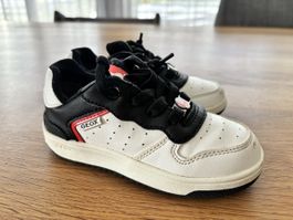 Sneakers Geox