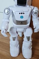 Cooler Roboter - Spielzeug für Gross und Klein! Geschenkidee