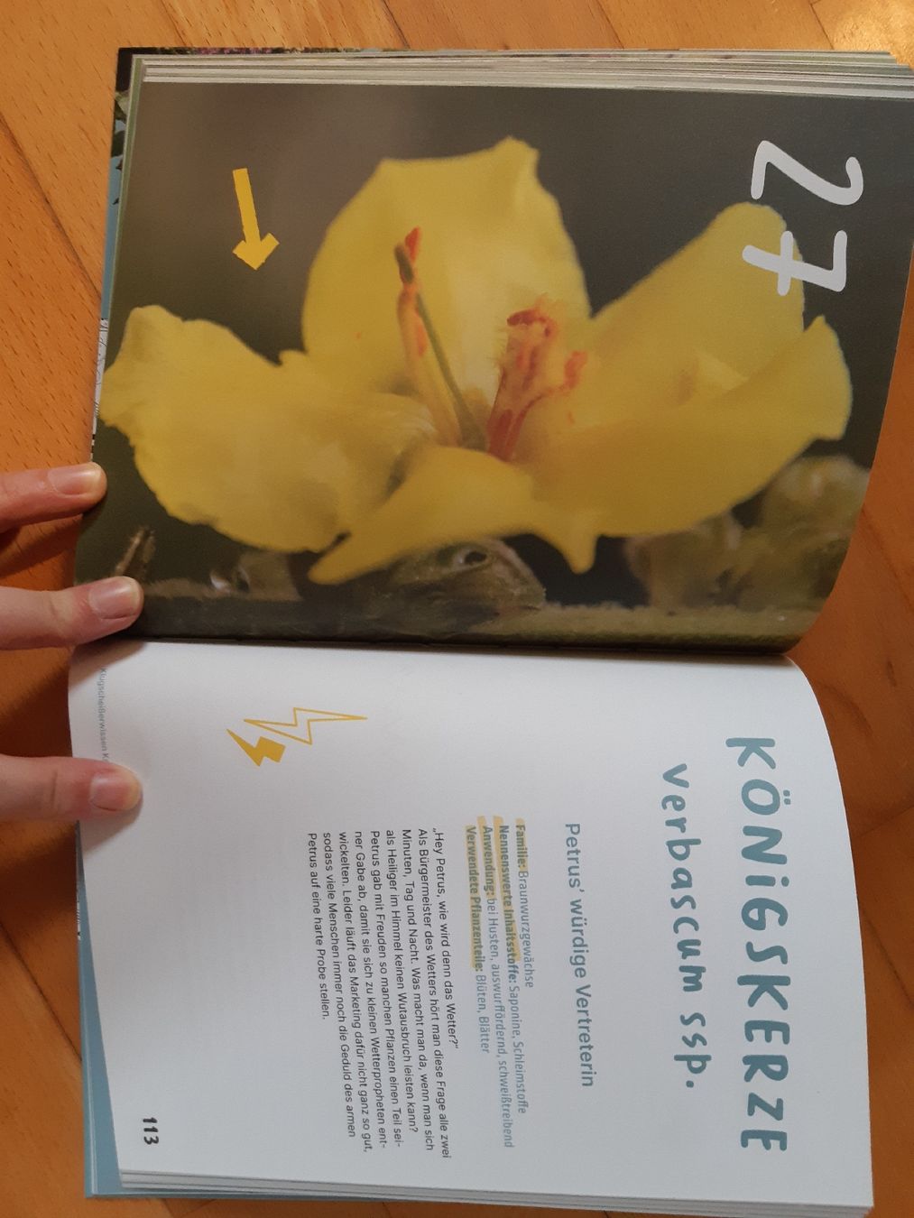 Libri: Klugscheisserwissen Kräuter – Usato da Bazenheid venduto da batapa 2