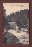 Dans les Montagnes du JURA - 1907 // pli d'angle //