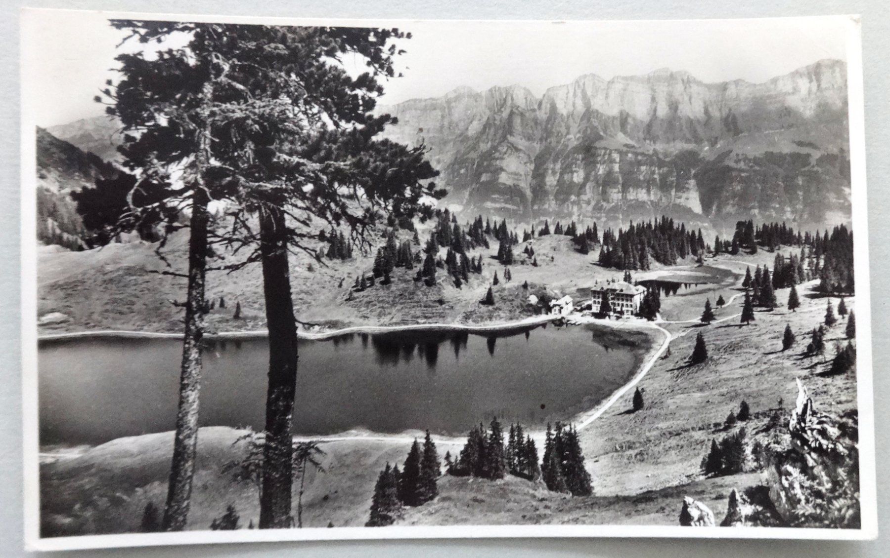 Cartoline postali: Seebenalp 1620 m ü.M. mit Leistkamm – Usato da Fétigny venduto da Billy2miny