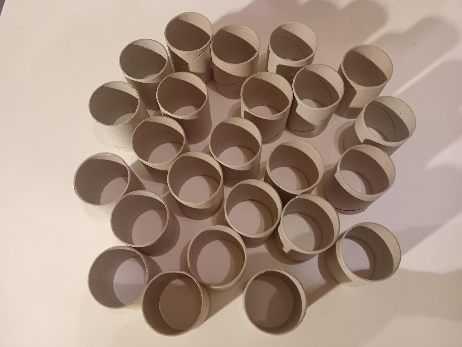 Kit bricolage: Kartonrollen 24 Stück – Nuovo (secondo la descrizione) da Salez venduto da Robe12 2