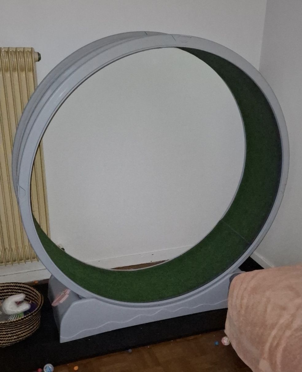 Arbres à chats: Roue d'exercice pour chat 110 cm ! – D'occasion à Lausanne par Ptite_Dame