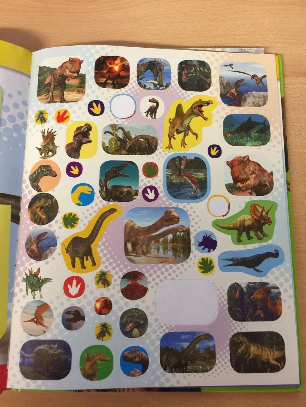 Libri: Warum hatten Dinosaurier Schuppen? – Usato da Glattfelden venduto da cybermaxx 5