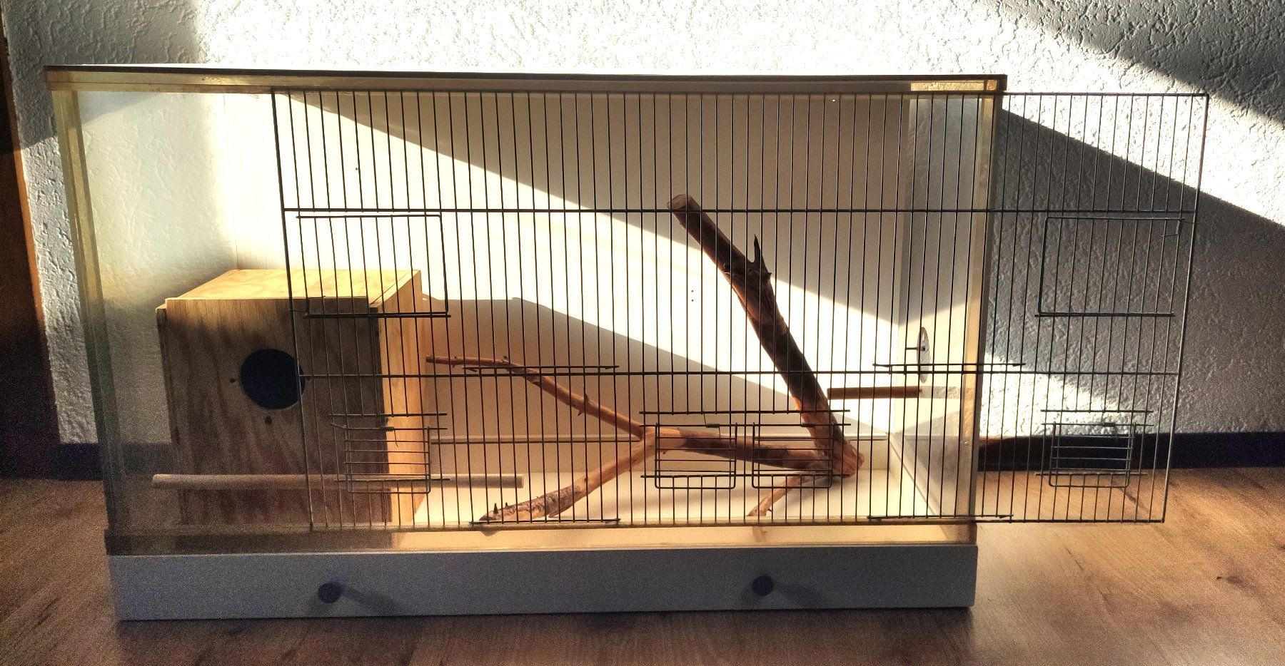 Gabbie, trasporto & Sicurezza: Cage à oiseaux en bon état. – Usato da Lamboing venduto da Qtrica 6