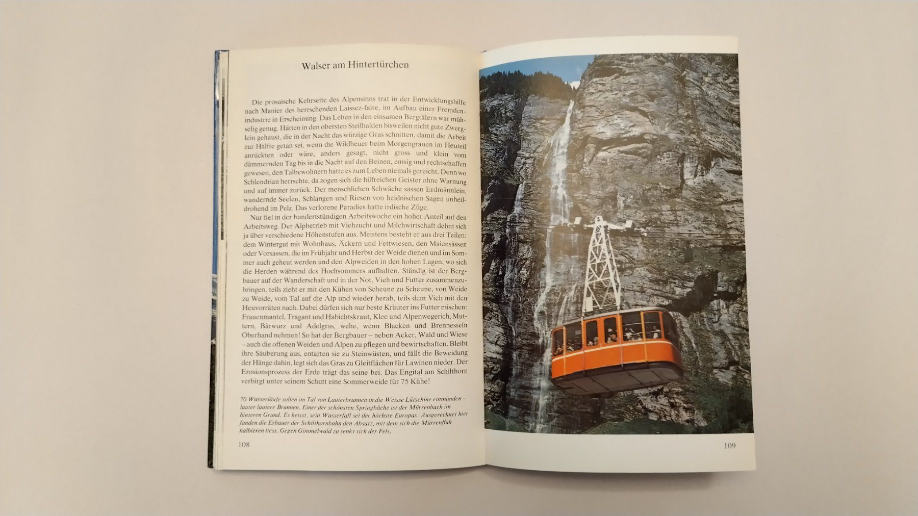 Bücher: Schilthorn umsteigen / Konterfei einer Luftseilbahn / Buch – Gebraucht aus Bellach von JingleJerry 7