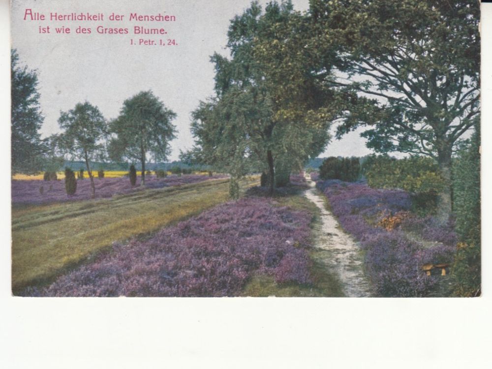 Cartoline postali: Motivkarte Lüneburger Heide 1926 mit ST Riehen – Usato da Bürglen TG venduto da StampGraf