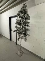 Tannenbaum mit Schnee