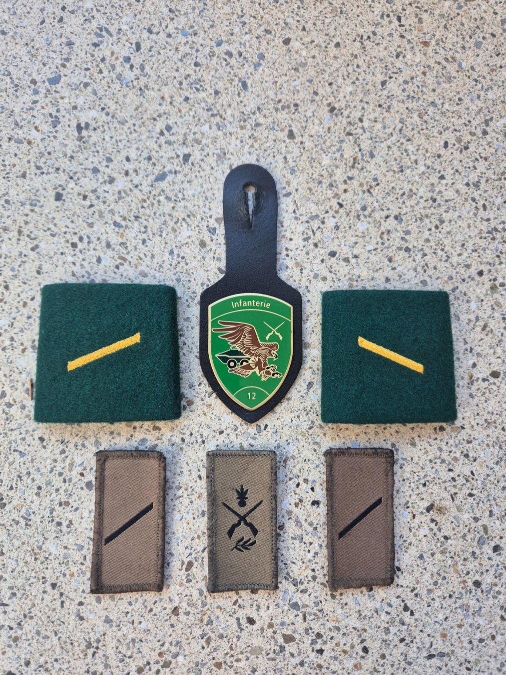 Schweizer Armee Placchette & Badge: *** Abzeichen Sammlung Infanterie *** – Usato da Riedholz venduto da fr_sIruP