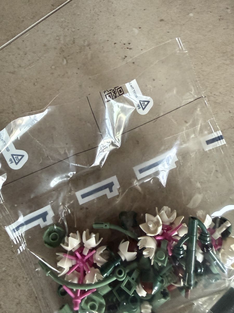 Lego Jouets: LEGO Botanicals ungeöffnet – Neuf (Voir description) à Hüttwilen par sar_8gj7 3