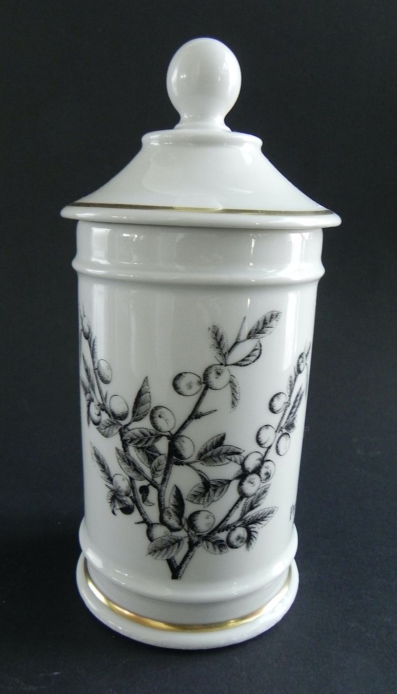 Tutte le decorazioni: Langenthal Dose mit Deckel - Sujet Prunus spinosa L. – Nuovo (secondo la descrizione) da Zürich venduto da LodgE-21