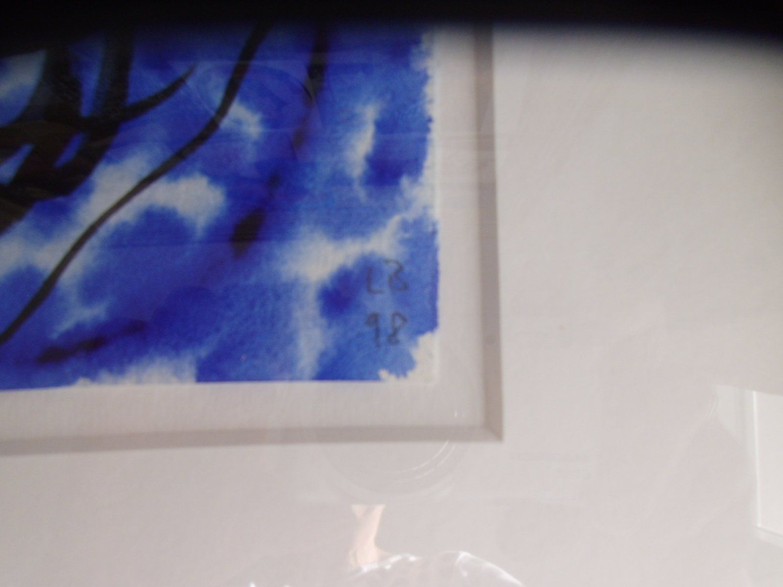 Foto & Immagini: Bild von Leo Brunschwiler von 1998 – Usato da Walenstadt venduto da Pluisa 3