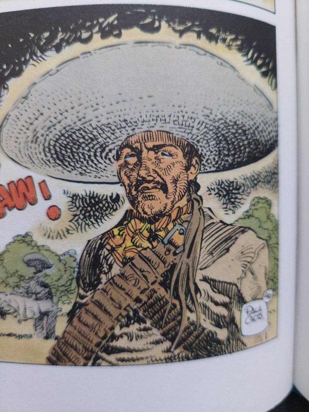 Fumetti: Mac Coy / Camerone EO 1983 TBE – Usato da Genève venduto da Blu_BD 6