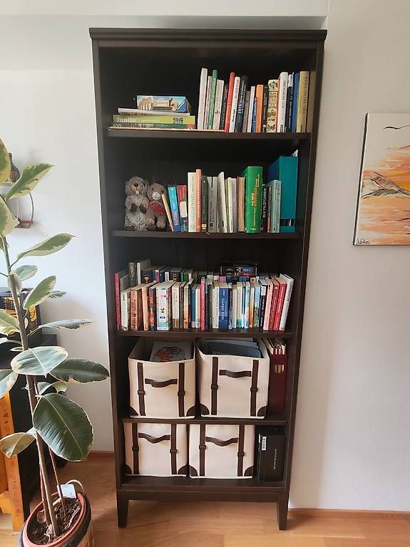 Ikea Scaffali: Bücherregal Dunkelbraun – Usato da Chur venduto da tol_xvw8