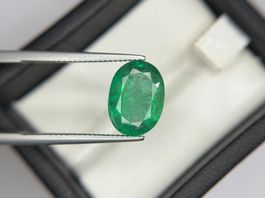 Grün Smaragd - 5.96 ct - Lotus Gemology