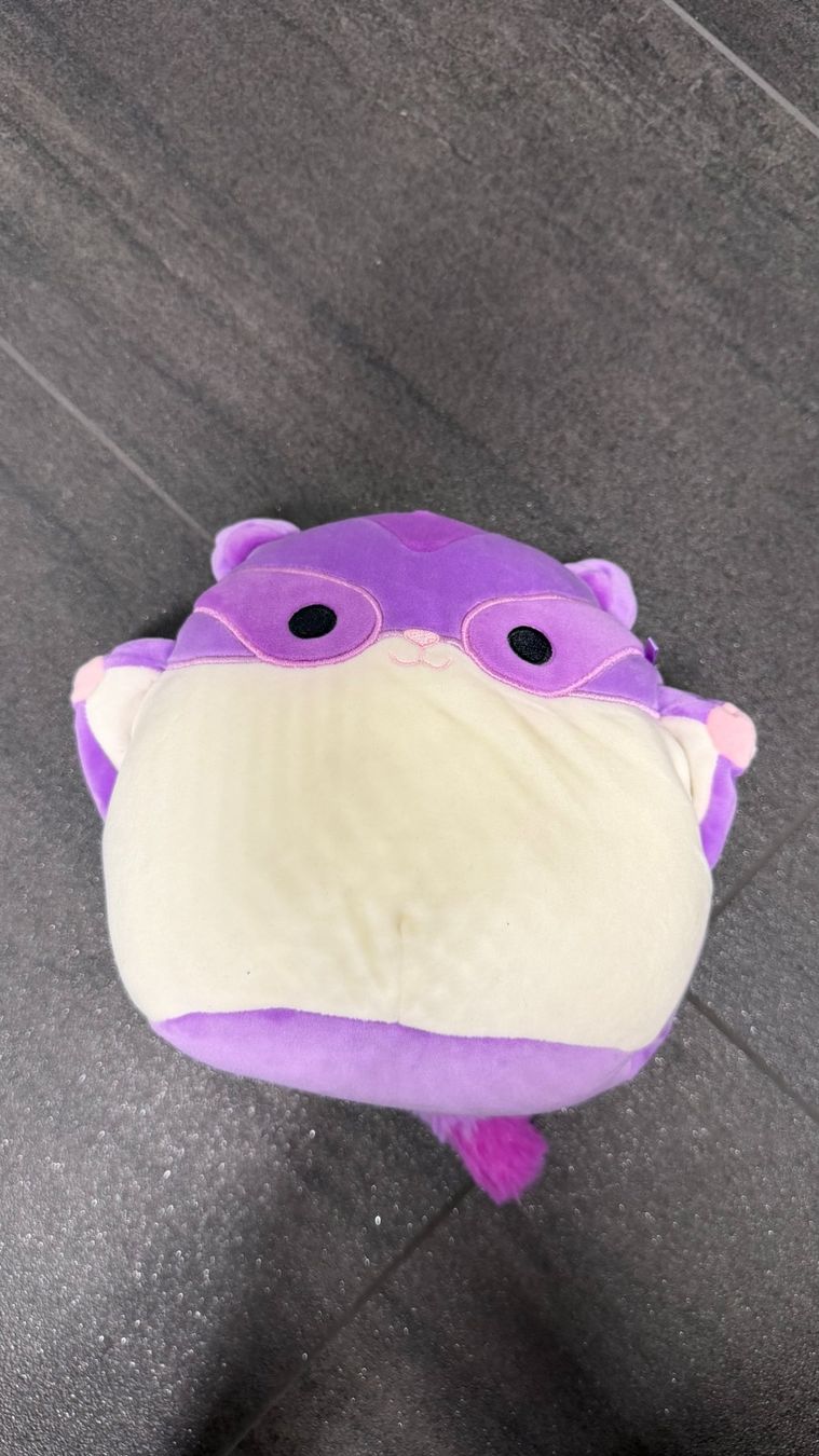 Squishmallows Spielzeuge: Squishmallow – Gebraucht aus Geuensee von Mary32 2