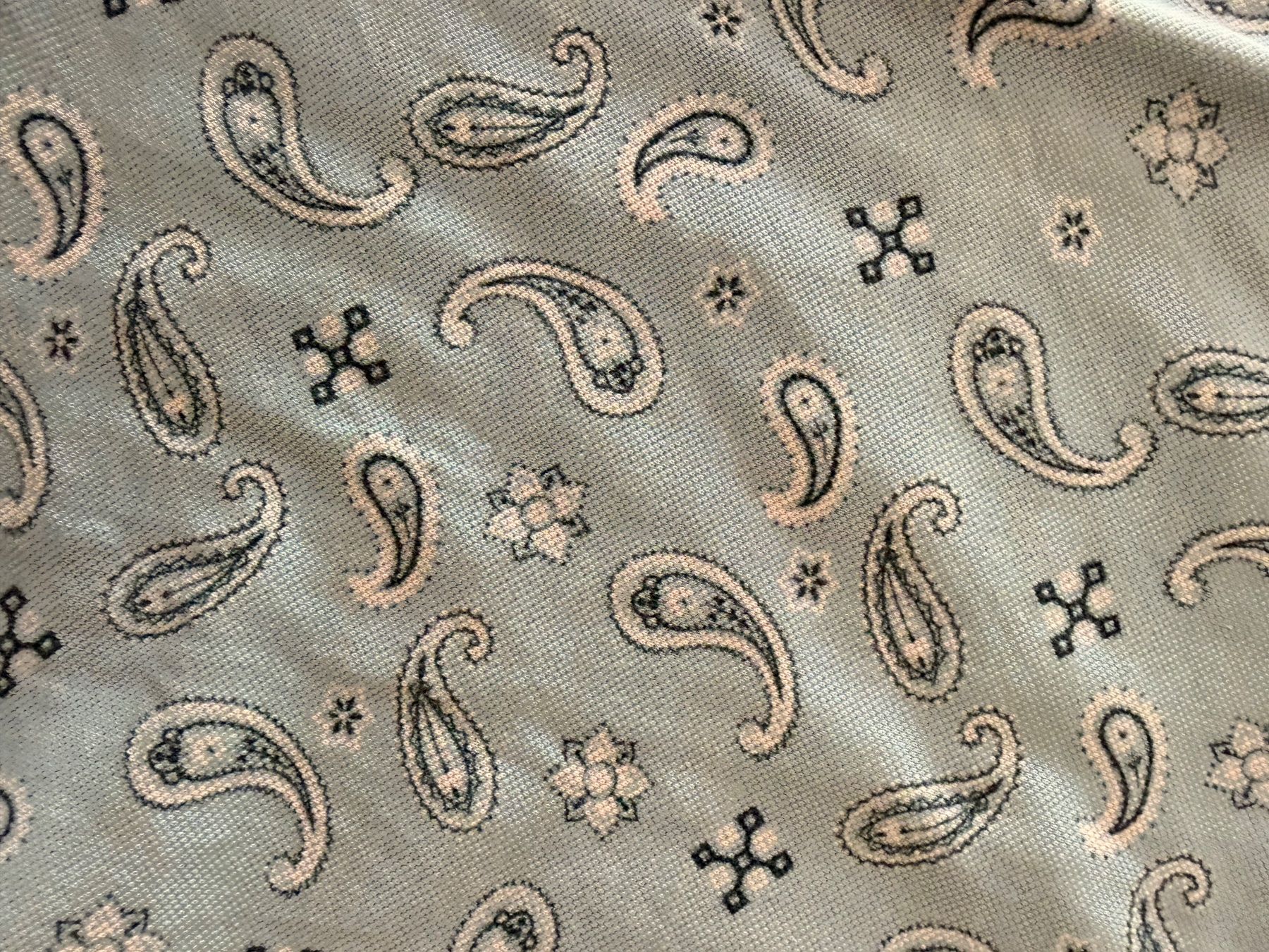 Etro Polo-Shirts: Etro Poloshirt M – Gebraucht aus Chambésy von rob_gl27 2