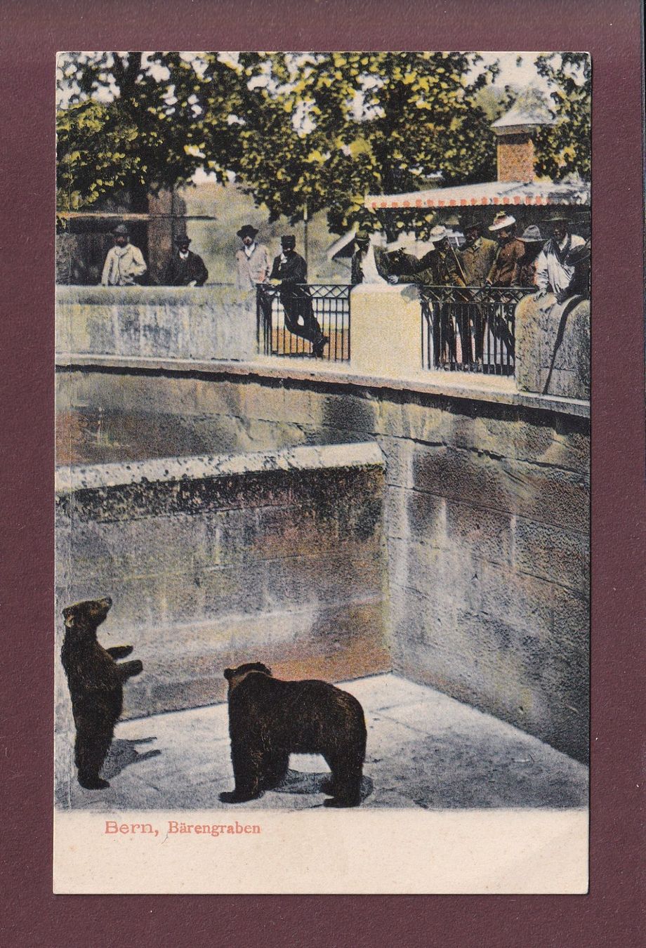 Cartoline postali: BERN - Bärengraben – Usato da Pully venduto da nicecards