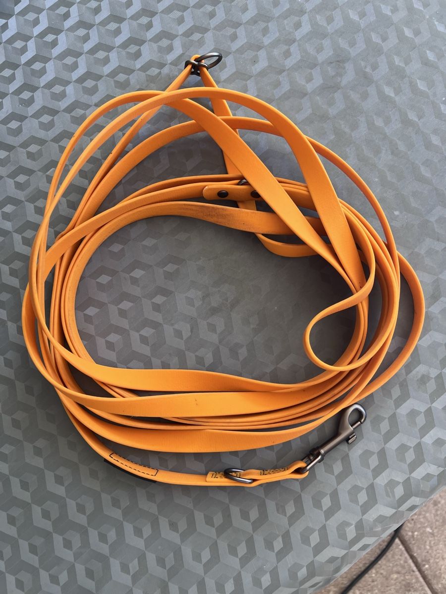 Guinzagli & Collari: Schleppleine Orange 5m lang – Usato da Wallisellen venduto da janet0022