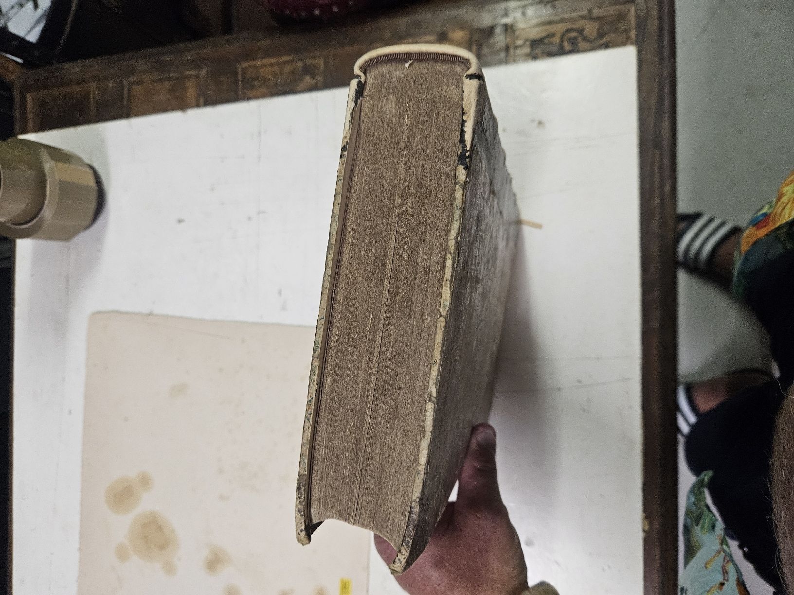 Livres: buch  antik 1576 – D'occasion à Schwellbrunn par Omega-alpha 7