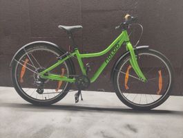 NALOO Chameleon 24 Zoll - grün