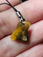 echter Bernstein Anhänger Kette Naturbernstein gold original