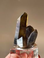 Rauchquarz aus Mongolei | Mineralien Stufe