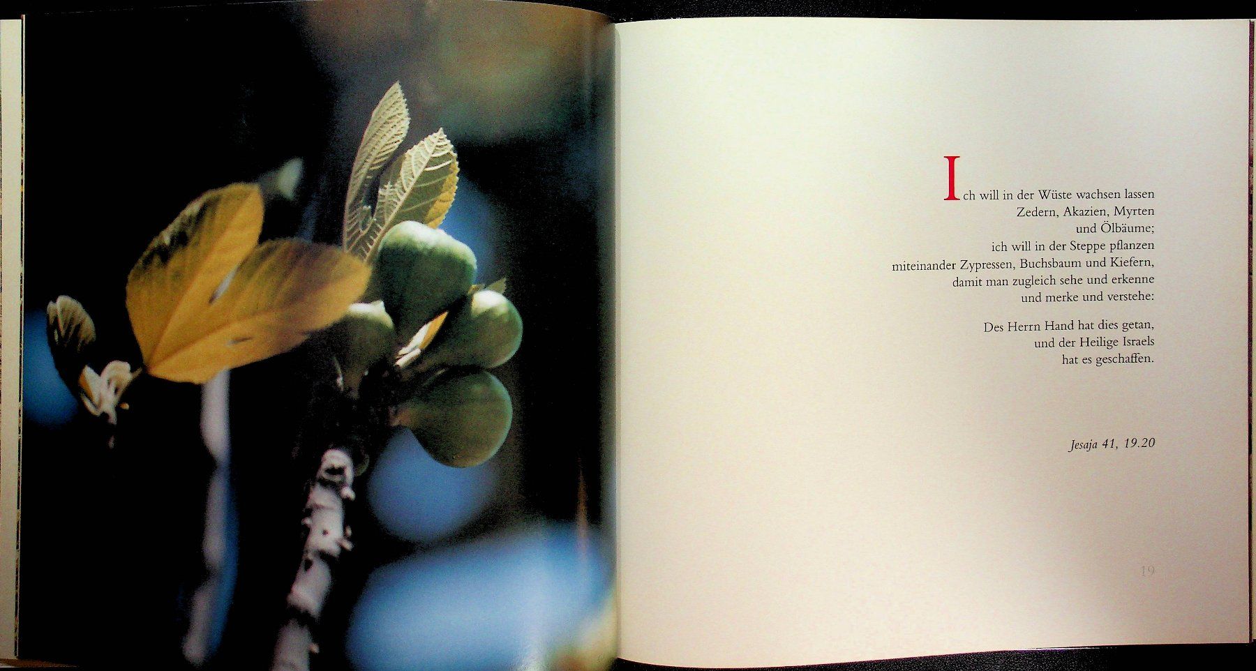 Libri: Hans Freudenberg Hirtenträume Ein  Weihnachtsbuch – Usato da Reitnau venduto da Zaomir 6