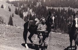 Schwarzwaldalp   BE  ob Meiringen / Säumer, Pferde  um 1939