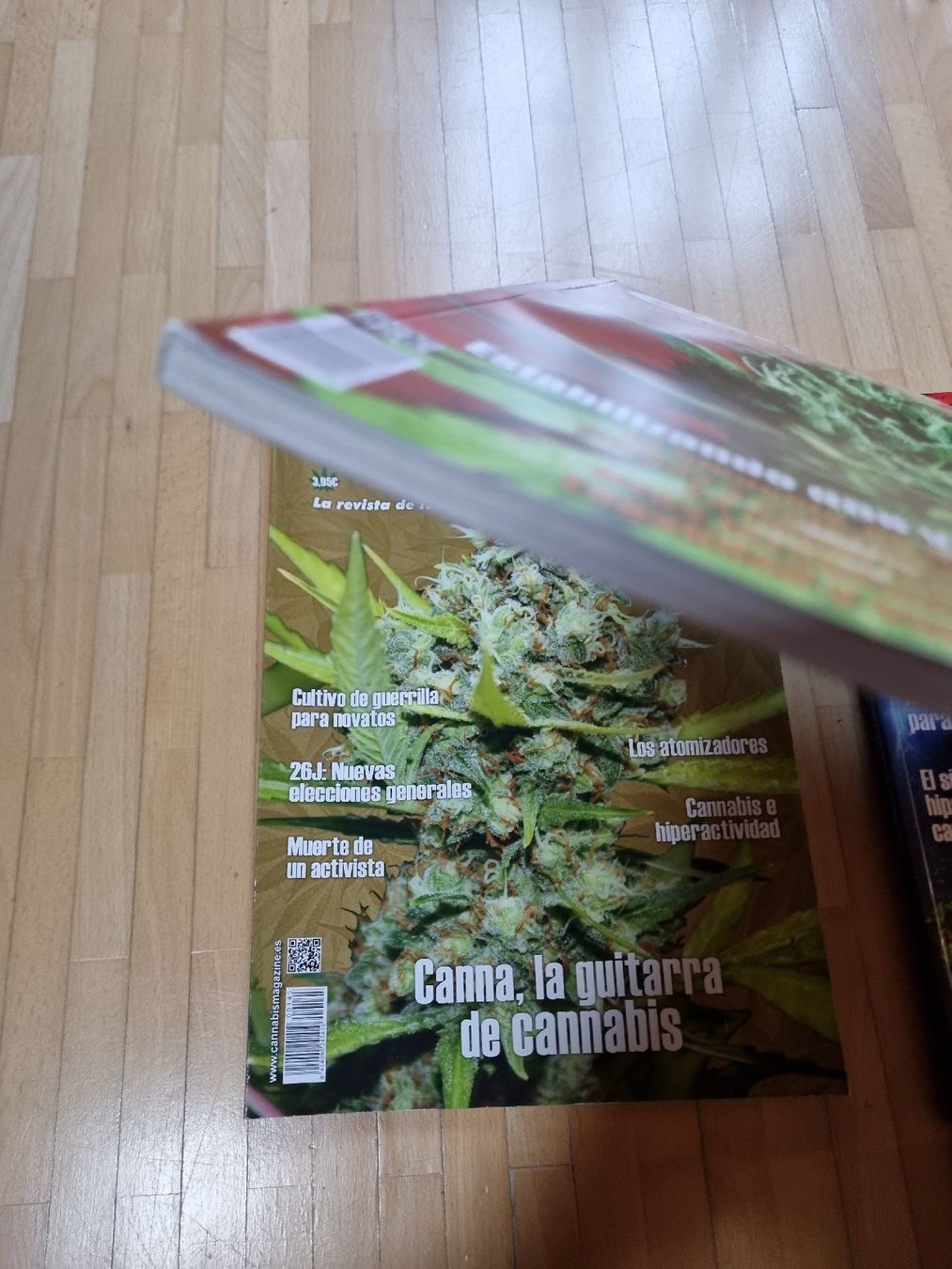 Zeitschriften & Magazine: Hanf Magazine Spanisch, 6 Stk. Cannabis Info – Gebraucht aus Winterthur von Belzarek 5